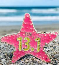 13.1 pin 2019