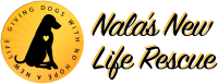 Nala's New Life Rescue